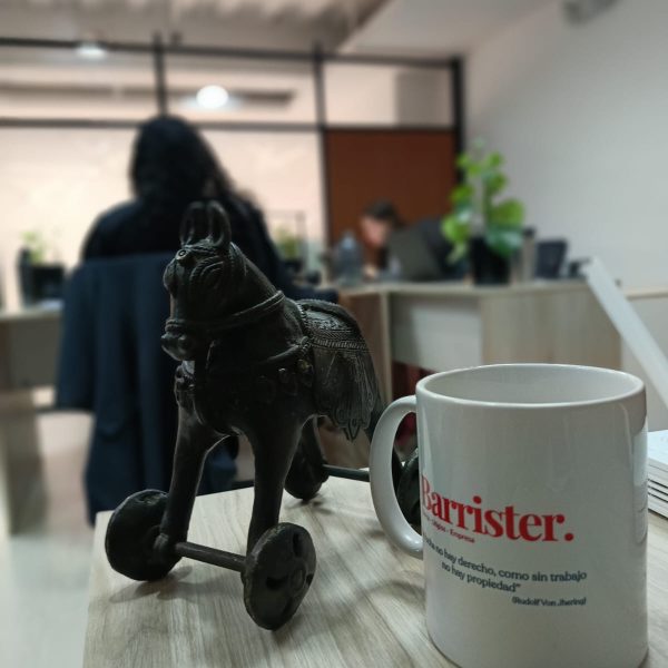 WhatsApp Image 2025-06-24 at 13.21.50 (1)